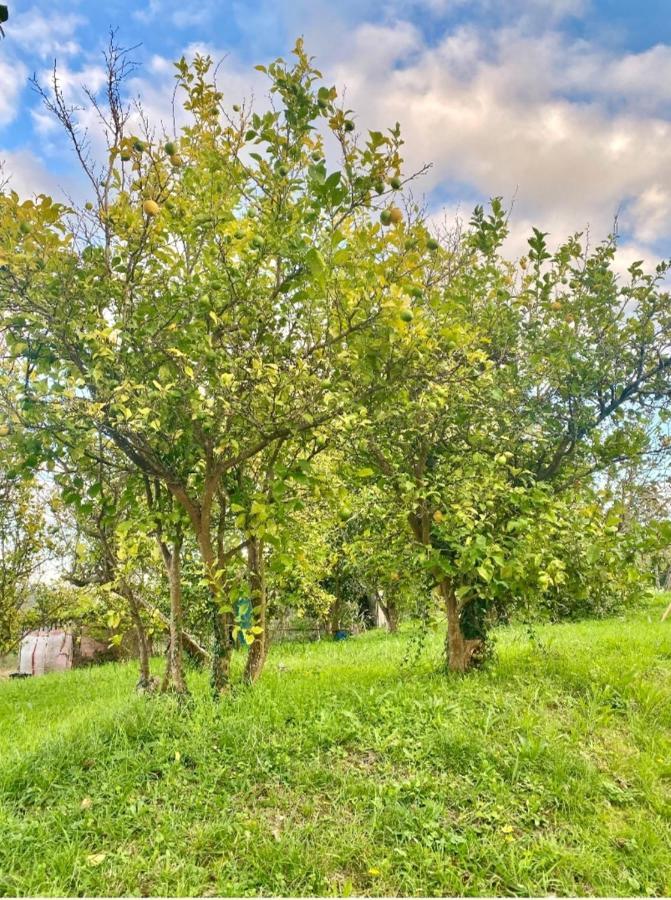 הוילה בטאנסוס Casa Outeiro מראה חיצוני תמונה